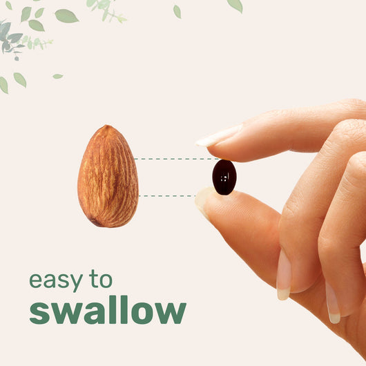 Astaxanthin 12mg - Antioxidant Softgels