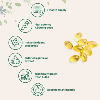 Aged Garlic Softgels